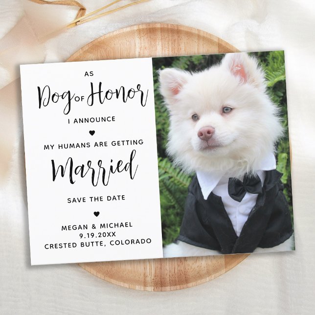My Humans Are Getting Married- Modern Dog Wedding Announcement Postcard (Creator Uploaded)