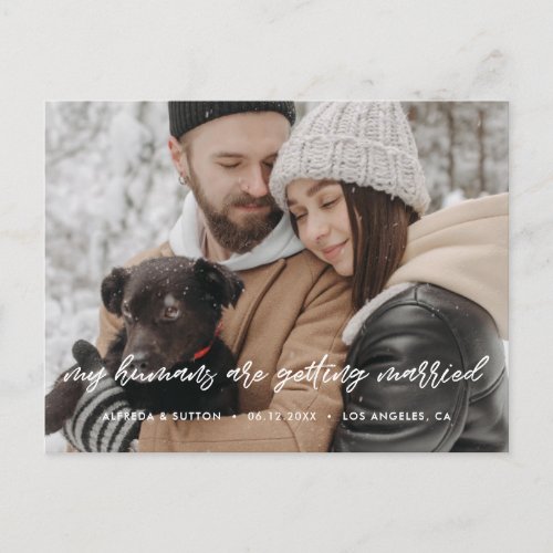 My humans are getting married Modern typography Announcement Postcard