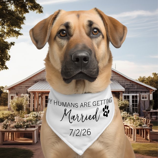 My Humans are getting Married Pet Bandana Collar (Creator Uploaded)