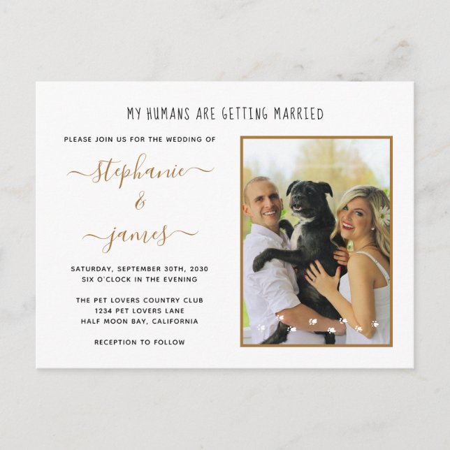 My Humans Are Getting Married Pet Photo Wedding Invitation Postcard (Front)