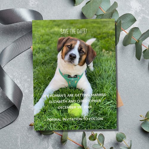 My Humans Are Getting Married Photo Save the Date Magnet