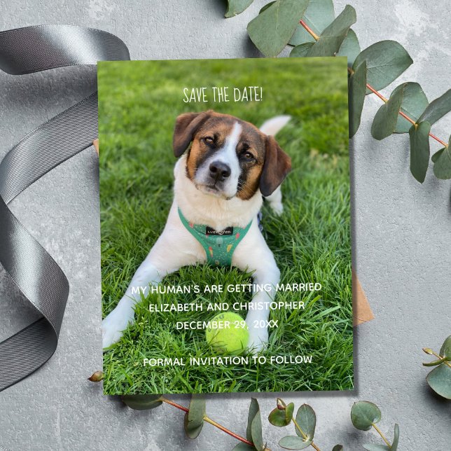 My Human's Are Getting Married Photo Save the Date Magnet