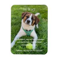 My Human's Are Getting Married Photo Save the Date Magnet