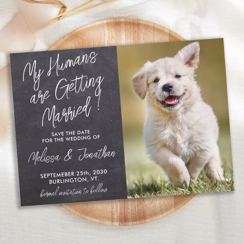 My Humans Are Getting Married Rustic Pet Photo Dog Save The Date