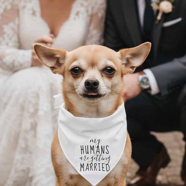 My Humans are Getting Married Wedding Dog Bandana (Ensure your dog is picture-ready for all your wedding memories. )