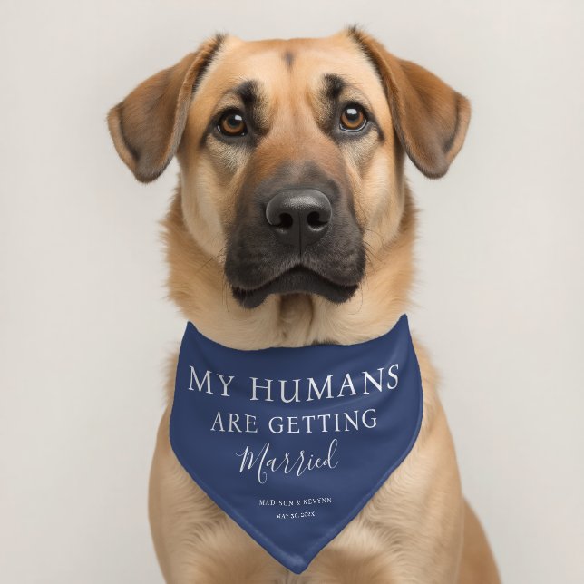  My Humans Are Getting Married Wedding Dog  Pet Bandana Collar (Dog 2)