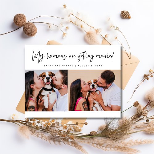 My Humans Dog Photo Wedding Save the Date Announcement Postcard