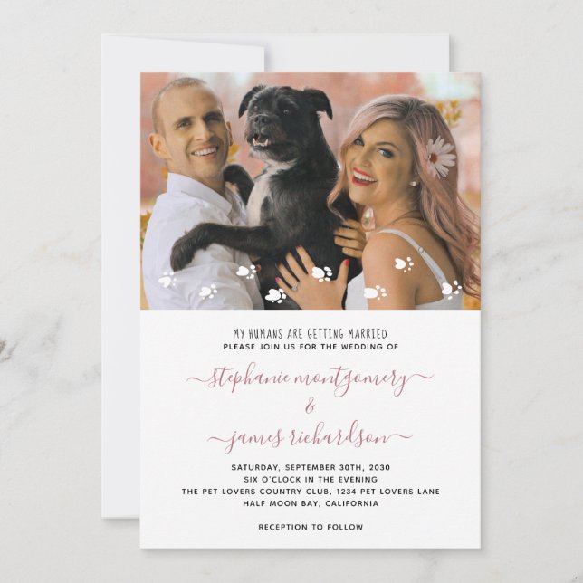 My Humans Getting Married Custom Pet Photo Wedding Invitation (Front)