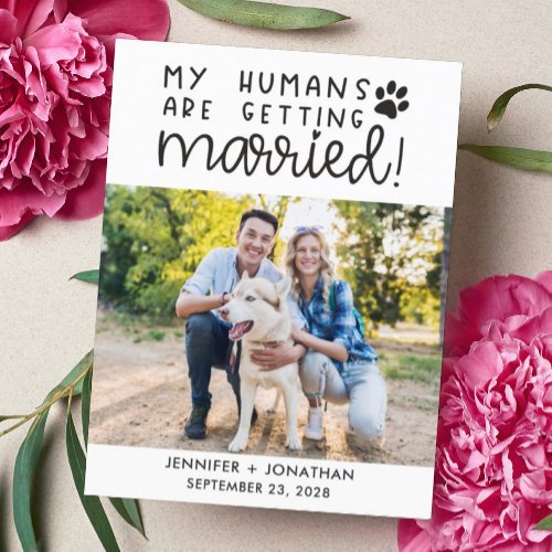 My humans getting married dog photo save the date  announcement postcard