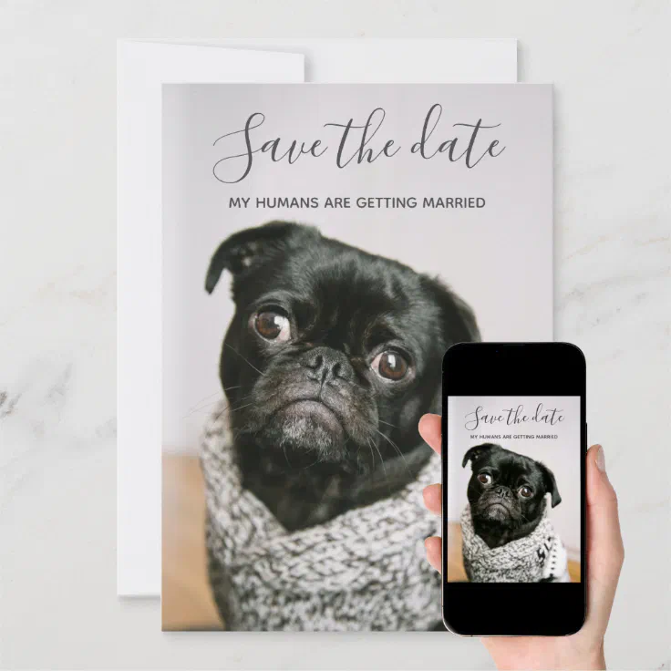 My Humans Getting Married Dog Photo Save The Date Invitation | Zazzle