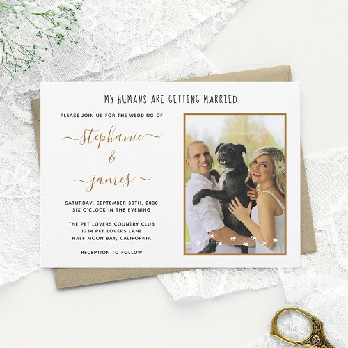 My Humans Getting Married Pet Photo Wedding Invitation