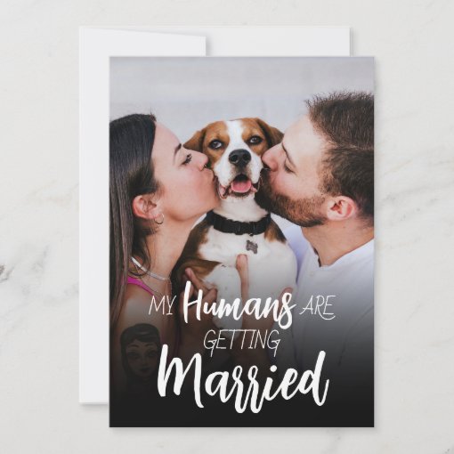 Easycozy Hundehalstuch 'My Humans Are Getting Married' - 2 Stück, Baumwolle, Für Mittelgroße Hunde