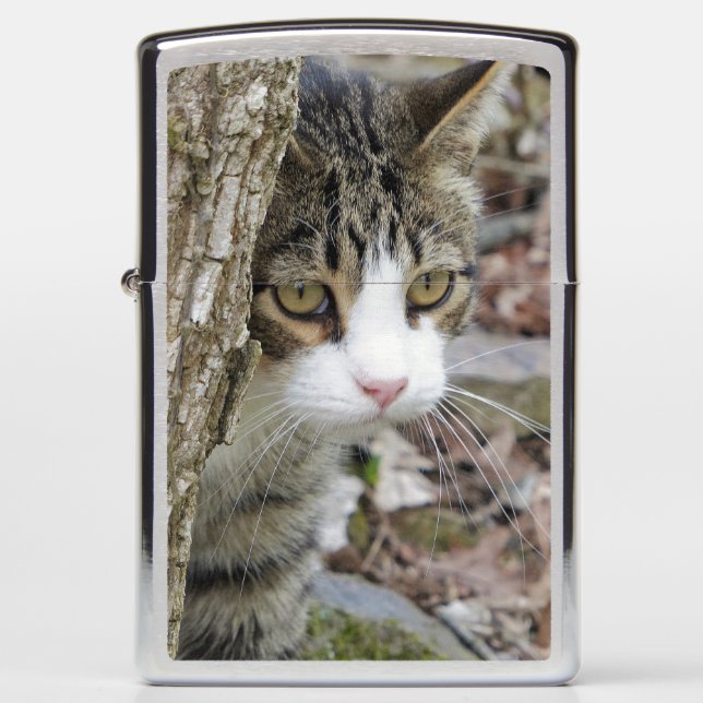 My Hunting Cat Zippo Lighter (Front)