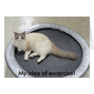 My idea of excercise! cards