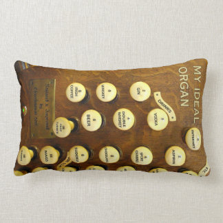 My ideal organ lumbar pillow