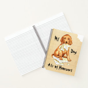 My Irish Setter Ate my Homework Notebook