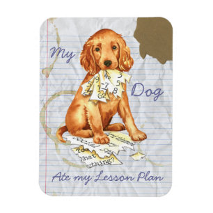 My Irish Setter Ate My Lesson Plan Magnet