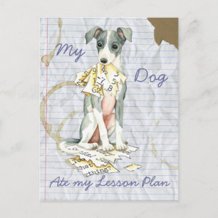 My Italian Greyhound Ate My Lesson Plan Postcard