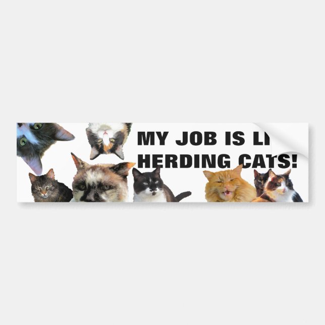 mY jOB IS lIKE hERDING cATS! Bumper Sticker (Front)