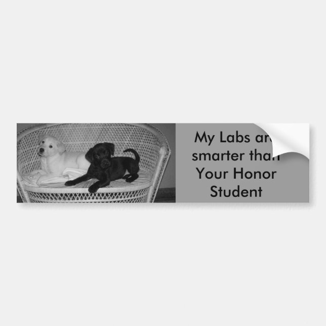 My Labs are smarter bumper sticker (Front)