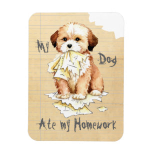 My Lhasa Apso Ate My Homework Magnet