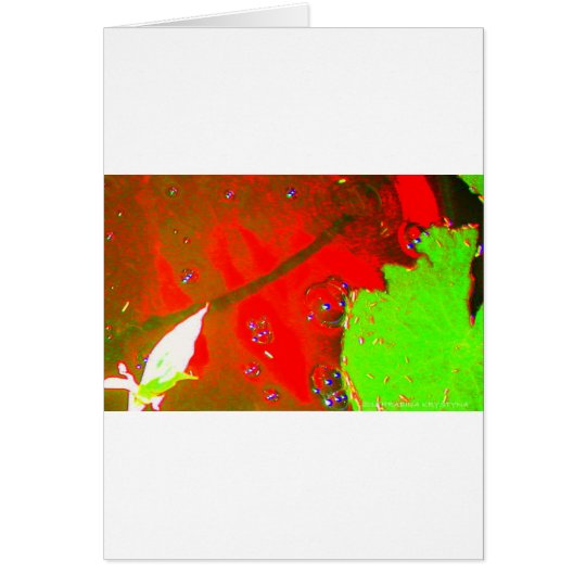 MY LIFE AND ASSORTED ABSTRACTS CARD