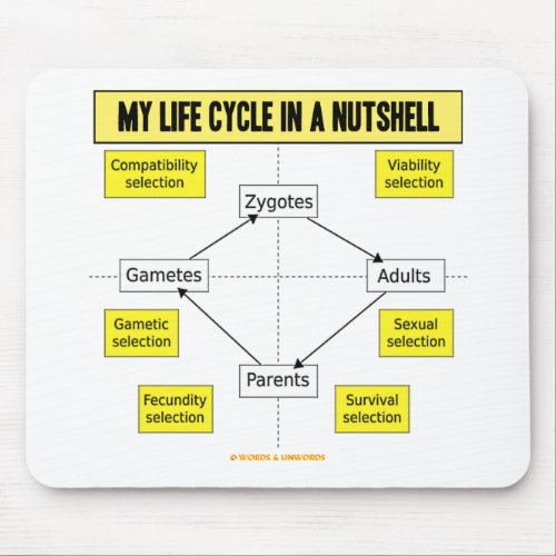 My Life Cycle In A Nutshell Biological Attitude Mouse Pad