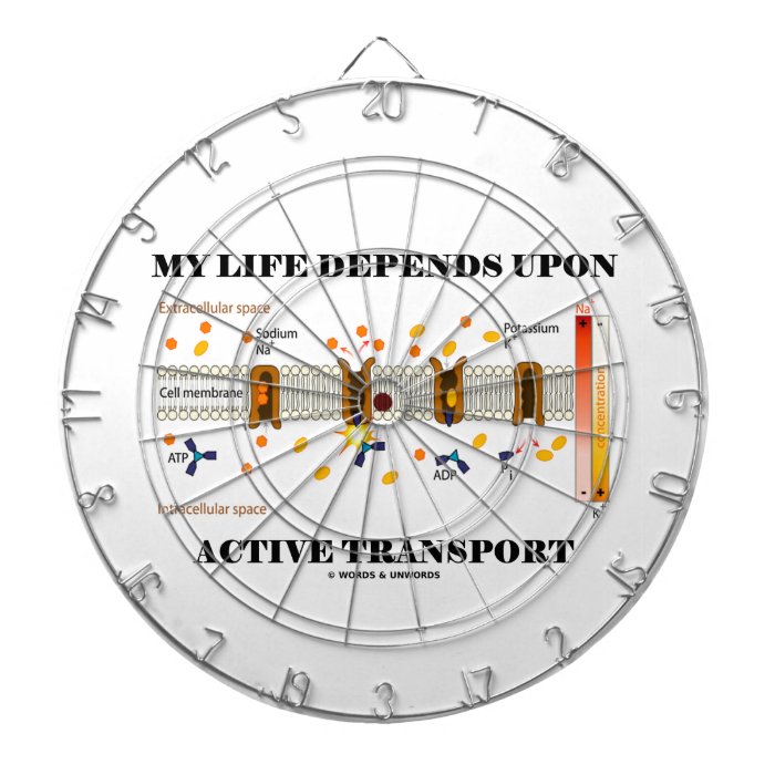 My Life Depends Upon Active Transport (Na K Pump) Dart Boards