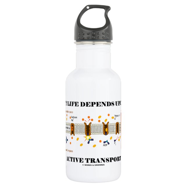 My Life Depends Upon Active Transport (Na-K Pump) Stainless Steel Water Bottle (Front)