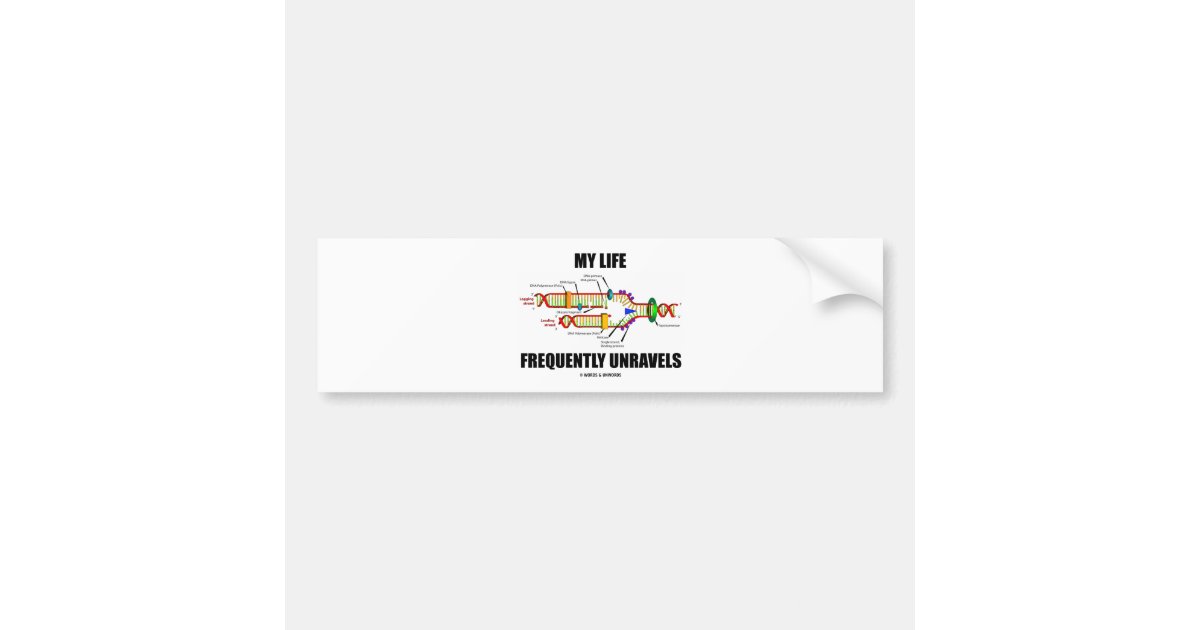 Dna replication to write a bumper sticker