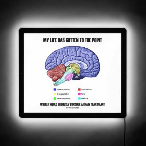 My Life Gotten To Point Consider Brain Transplant LED Sign