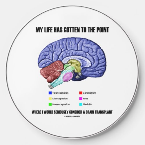 My Life Gotten To Point Consider Brain Transplant Wireless Charger