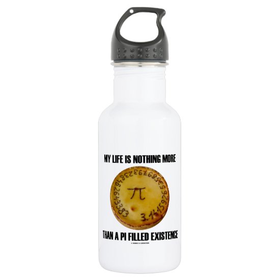 My Life Is Nothing More Than A Pi Filled Existence Stainless Steel Water Bottle