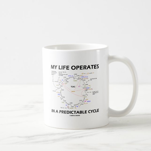 My Life Operates In A Predictable Cycle (Krebs) Coffee Mug (Right)