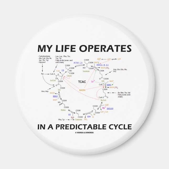 My Life Operates In A Predictable Cycle (Krebs) Magnet (Front)
