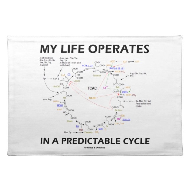 My Life Operates In A Predictable Cycle (Krebs) Placemat (Front)