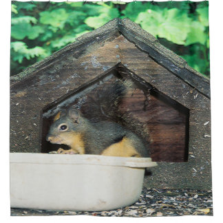 My lil' friend..... shower curtain