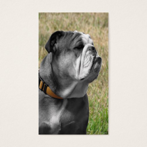 Customizable my little girl business cards