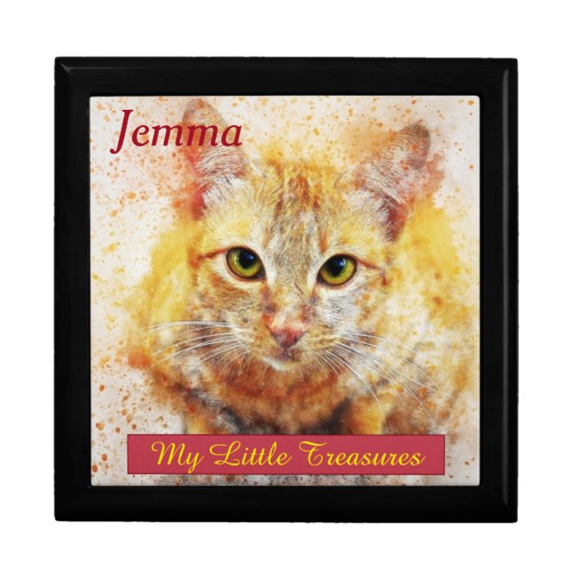 My Little Treasures Jewellery Cat Gift Box (Front)