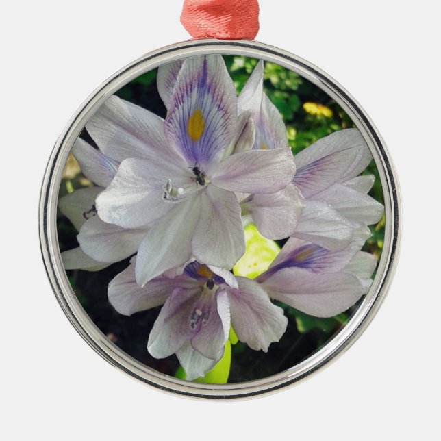 My little water garden plant metal ornament (Front)