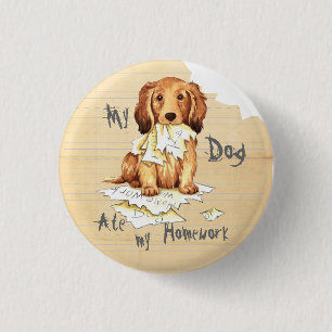 My Longhaired Dachshund Ate my Homework Pinback Button