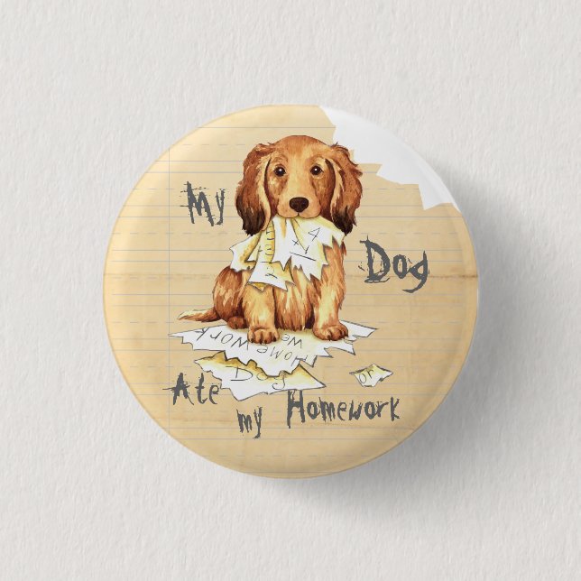 My Longhaired Dachshund Ate my Homework Pinback Button (Front)
