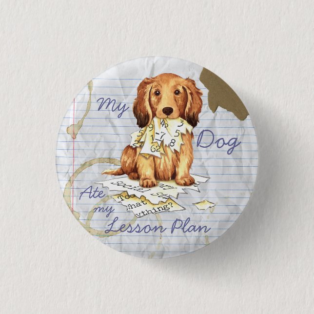 My Longhaired Dachshund Ate my Lesson Plan Button (Front)