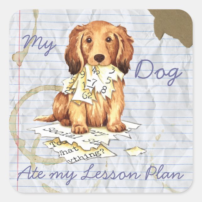 My Longhaired Dachshund Ate my Lesson Plan Square Sticker (Front)