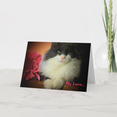 My LoveCat and Flower Holiday Card