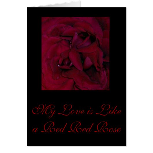 My Love is Like a Red Red Rose Cards (Front)