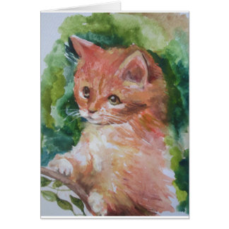 My lovely cat cards