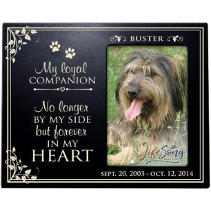 My Loyal Companion Pets Black Picture Frame