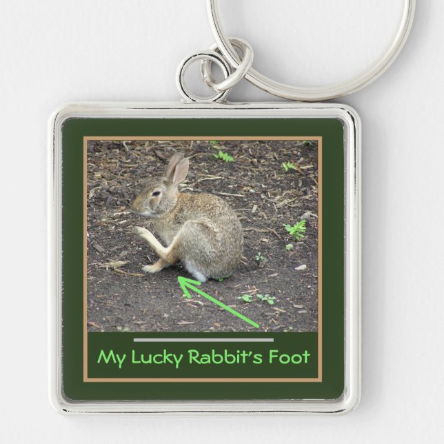 MY LUCKY RABBIT'S FOOT KEYCHAIN (Front)