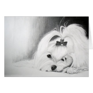 My Maltese Cards